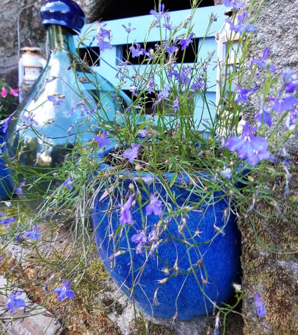 Gite La Grange Langoelan France